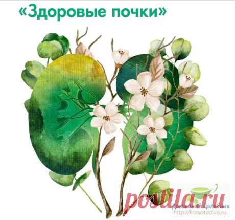 Что любят и что ненавидят наши почки: как сохранить их здоровыми и жить без боли В наше время несчастные почки работают с огромной перегрузкой . За обезвреживание вредных веществ, попавших в организм человека, кто в организме отвечает? — В первую очередь, два органа — печень и поч…