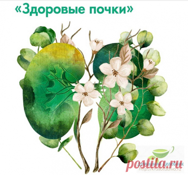 Что любят и что ненавидят наши почки: как сохранить их здоровыми и жить без боли В наше время несчастные почки работают с огромной перегрузкой . За обезвреживание вредных веществ, попавших в организм человека, кто в организме отвечает? — В первую очередь, два органа — печень и поч…