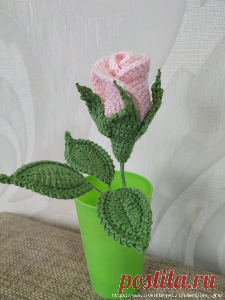 Без заголовка