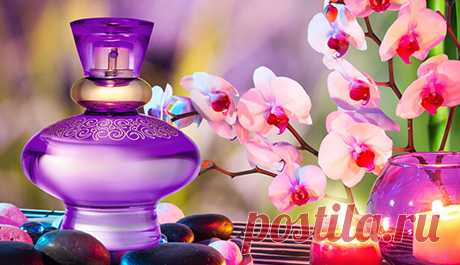 Стиль жизни ..Хочется изменить привычный ход событий и испытать нечто необычное? Начните с выбора новой парфюмерии. Попытаемся разобраться, какого же эффекта можно достичь, если попробовать совершенно непривычный аромат....https://faberlic.com/register?sponsor=1000101225327