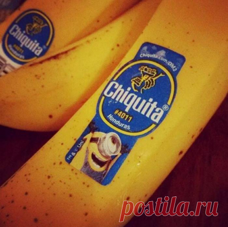 Какие продукты можно купить в разных странах на 1 доллар — Все о туризме и отдыхе