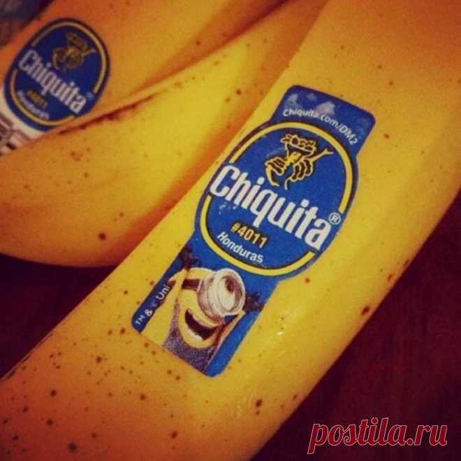 Какие продукты можно купить в разных странах на 1 доллар — Все о туризме и отдыхе