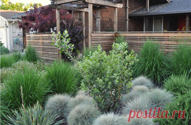 50 Wooden Gates Design - Bahay OFW
