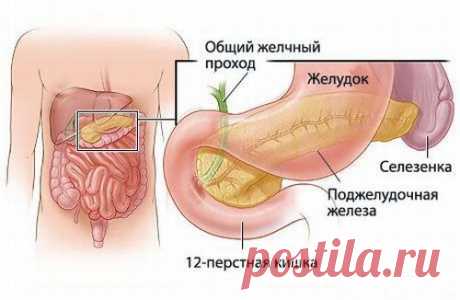 Оживляем поджелудочную