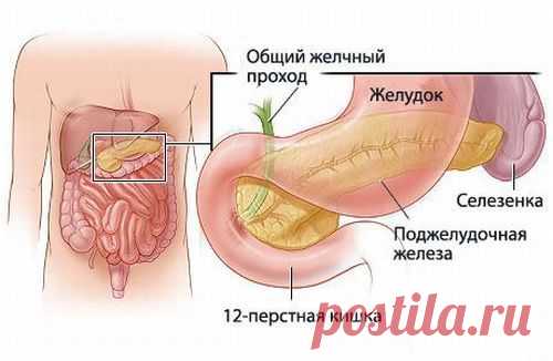 Оживляем поджелудочную