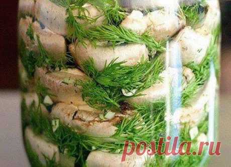 Необычно и очень вкусно: малосольные шампиньоны