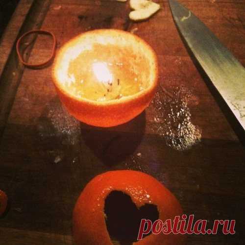 Фруктовые хитрости / Домоседы