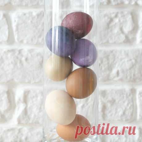 Красим яйца к Пасхе — Натуральные красители для яиц | theazbel.com