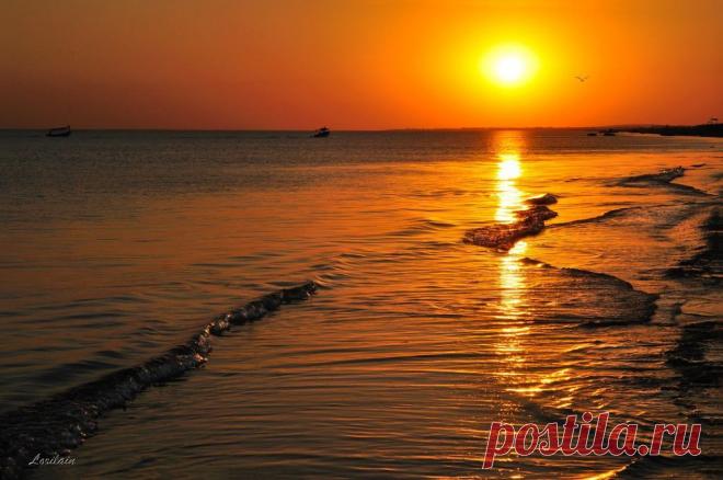 ФОТОМАСТЕРСКАЯ ПРИРОДЫ
Valeri Braun