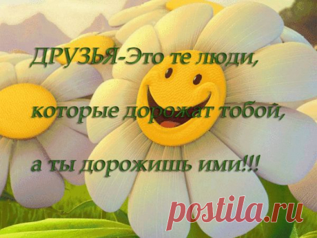 Поздравления и пожелания