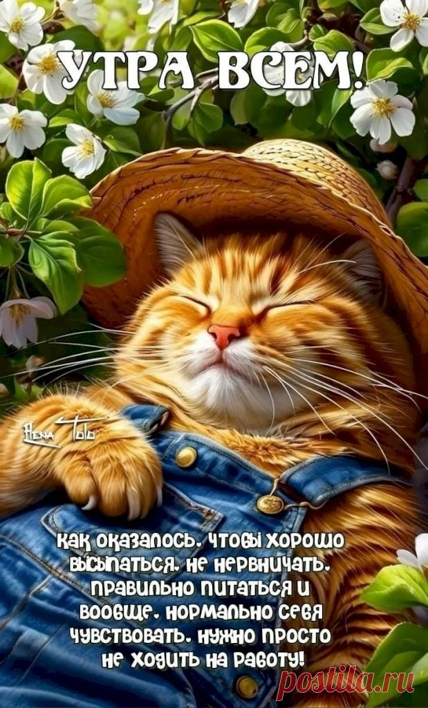 6de672a0.jpg (619×1024)