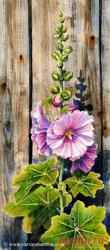 Найдено на сайте varvaraharmon.com.