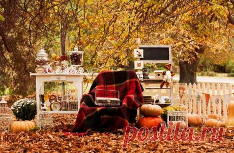 Осень — отличный повод сделать свой дом ярче