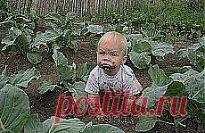 Письмо «Вот уже 40 лет в Брюсселе существует традиция... и другие материалы. Новое в Вашей подборке на Постиле» — Постила — Яндекс.Почта