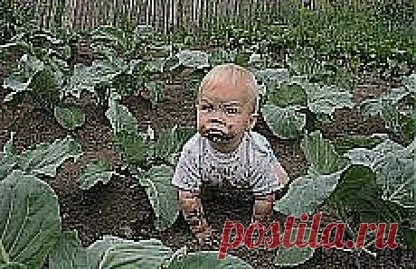 Письмо «Вот уже 40 лет в Брюсселе существует традиция... и другие материалы. Новое в Вашей подборке на Постиле» — Постила — Яндекс.Почта