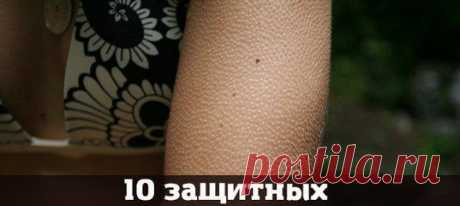 Маргарита Колесникова