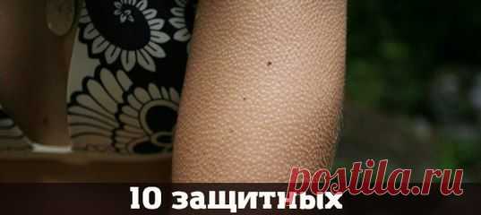 Маргарита Колесникова