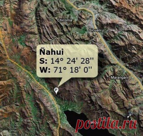 Екатерина Петрова