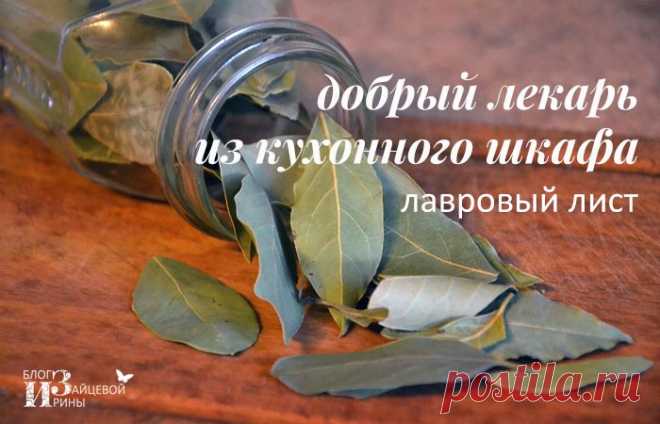 Лавровый лист. Полезные свойства. Лечение. Применение | Блог Ирины Зайцевой