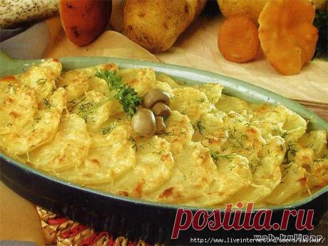 Такой разный картофель.