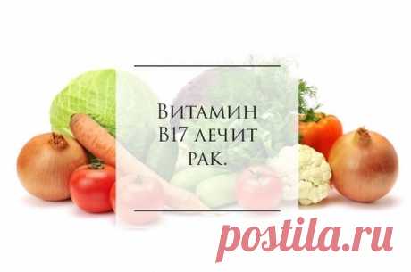 Витамин, который убивает рак

Американский автор Эдвард Грифин в своей книге «Мир без рака» описывает истину об одном открытии, которое скрывается, о лечебных свойствах витамина В17, который еще называется лаетрил или амигдалин.
Это вещество быстро убивает раковые клетки.
Показать полностью…