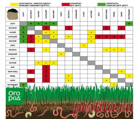 Азотные удобрения осенью: вносить или нет