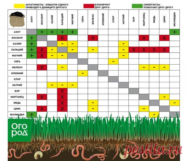 Азотные удобрения осенью: вносить или нет