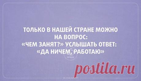 Катерина Долотова