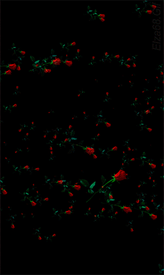 094d0f4896860fd3d7cb2b06185ff8dd.gif (330×551)