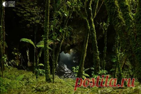 Пещера Светлячков На севере Новой Зеландии на острове Вакиато есть место, которое вы просто не имеете права не посетить. Это известняковые пещеры Вайтомо. Карстовые образования поистине удивительны своей неземной красотой. Сталактиты, сталагмиты и колонны впечатляют своей древностью. Как известно, чтобы...