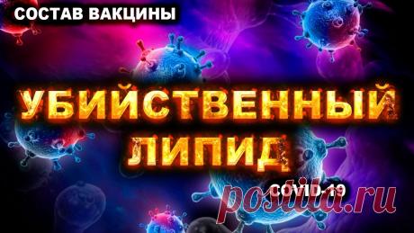 SM-102 в вакцинах от короны. «SM-102 - это ионизируемый аминолипид, который используется в сочетании с другими липидами при образовании липидных наночастиц. Одно введение мРНК люциферазы...