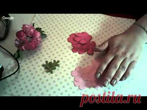 Роза