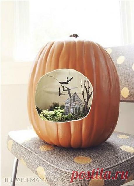 Хэллоуинские террариумы