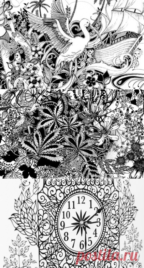 Johanna Basford | Work