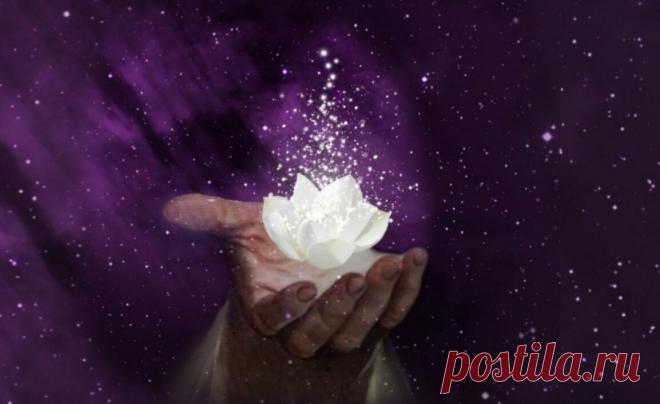 Глава 40. Нас перевели в четырёхмерность. Что с нами будет? | Путь к осознанной вере | Яндекс Дзен