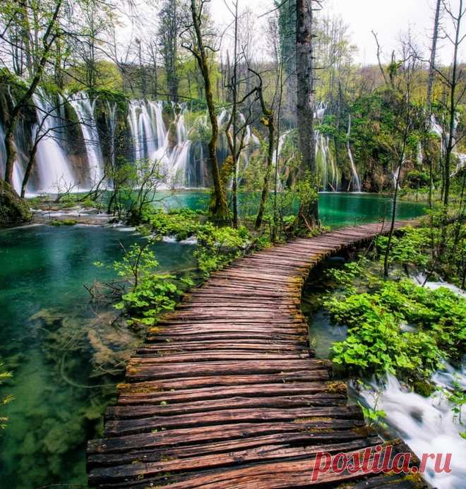 Google+