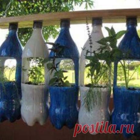 25 идей из пластиковых бутылок