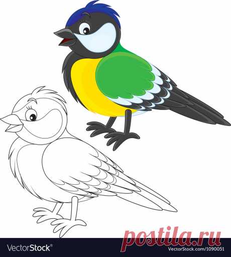 tomtit-vector-1090051.jpg (971×1080)