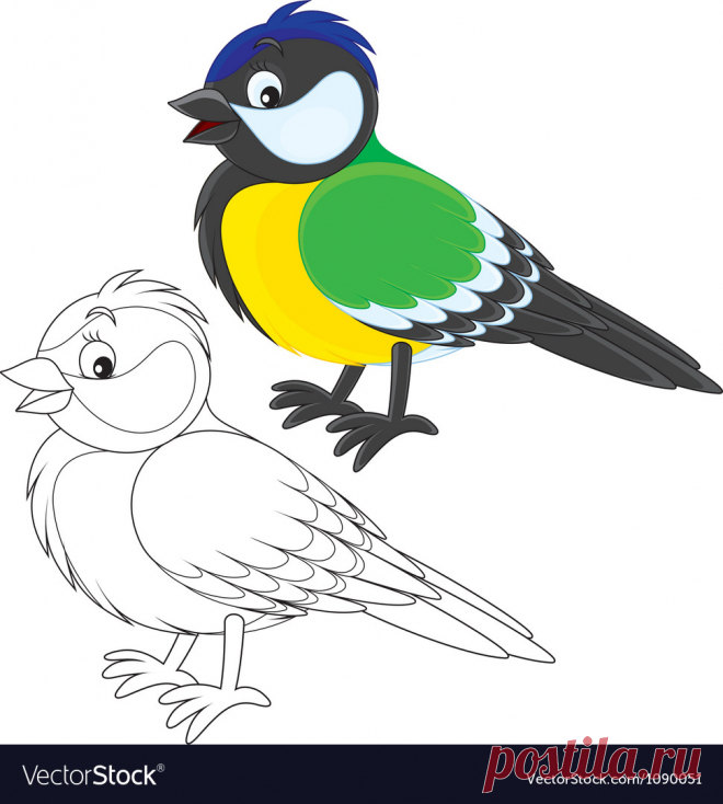 tomtit-vector-1090051.jpg (971×1080)