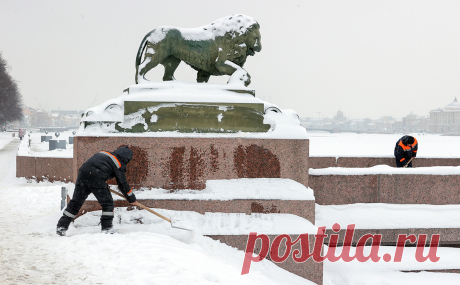 Прокуратура подтвердила обыски в Петербурге из-за плохой уборки снега. В Санкт-Петербурге прошли обыски и другие следственные действия в коммунальных компаниях, занимающихся уборкой снега и наледи, сообщается на сайте ведомства.