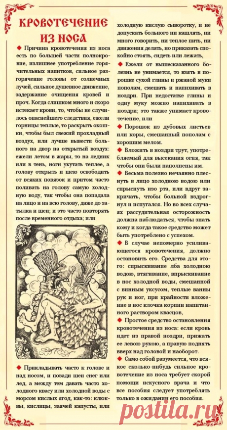 Кровотечение из носа
