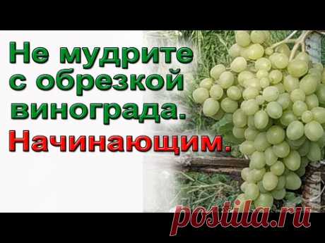 Не мудрите с обрезкой винограда. Начинающим.