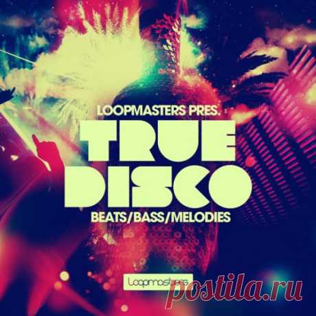 Loopmasters True Disco WAV REX   | 2.4 GB

proudly present True Disco an authentic collection of Disco loops recorded with real instruments onto tape through an all analogue signal path for the most convincing collection of royalty free disco samples since Jon Travolta hung up his flares.