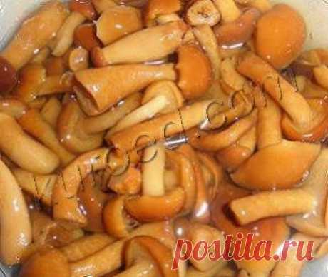 РЕЦЕПТЫ | Как проверить грибы перед консервацией