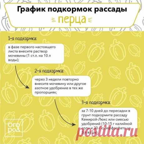 (20+) Facebook