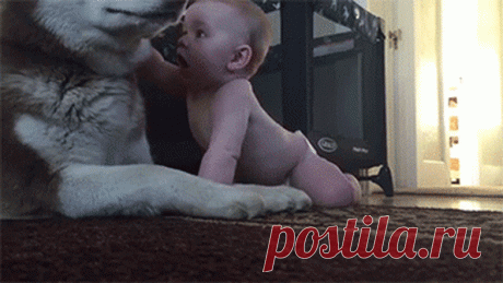 Мой Мир@Mail.Ru