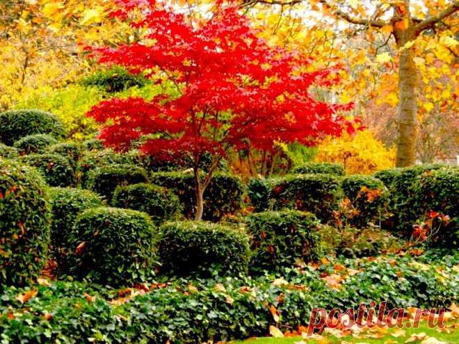 lindochka1 — «Три цвета осени» на Яндекс.Фотках