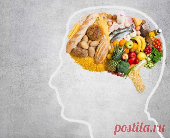 Пища для размышлений. Правильное питание для мозга