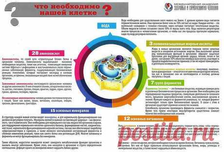 Код здоровья клетки!
