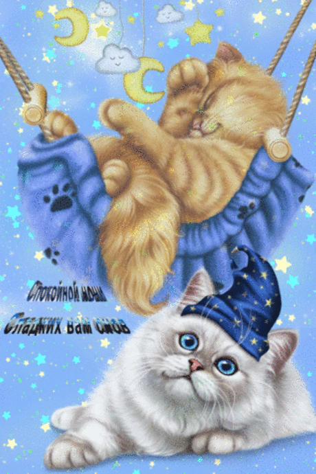 Спокойной ночи